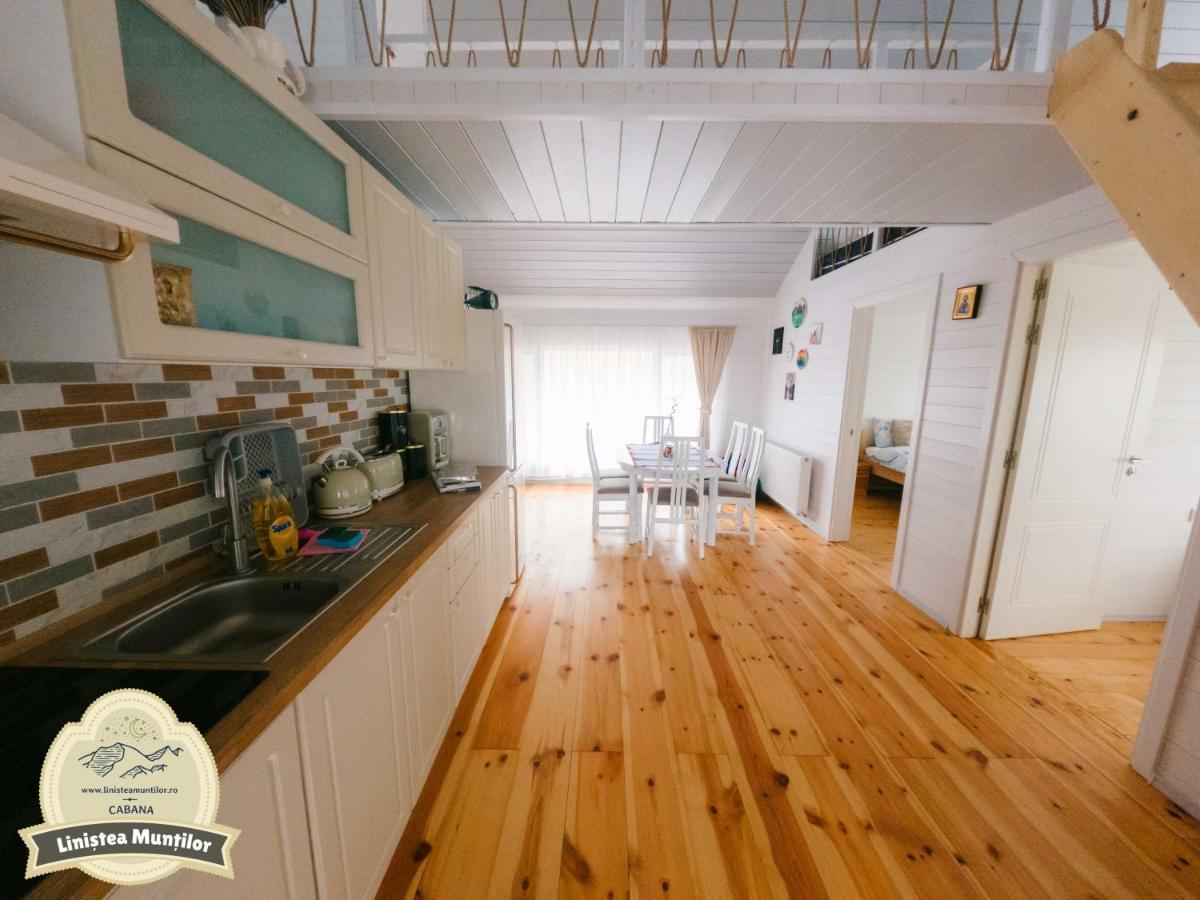 Linistea Muntilor Chalet โปรุมบาคู เด ซุซ ภายนอก รูปภาพ