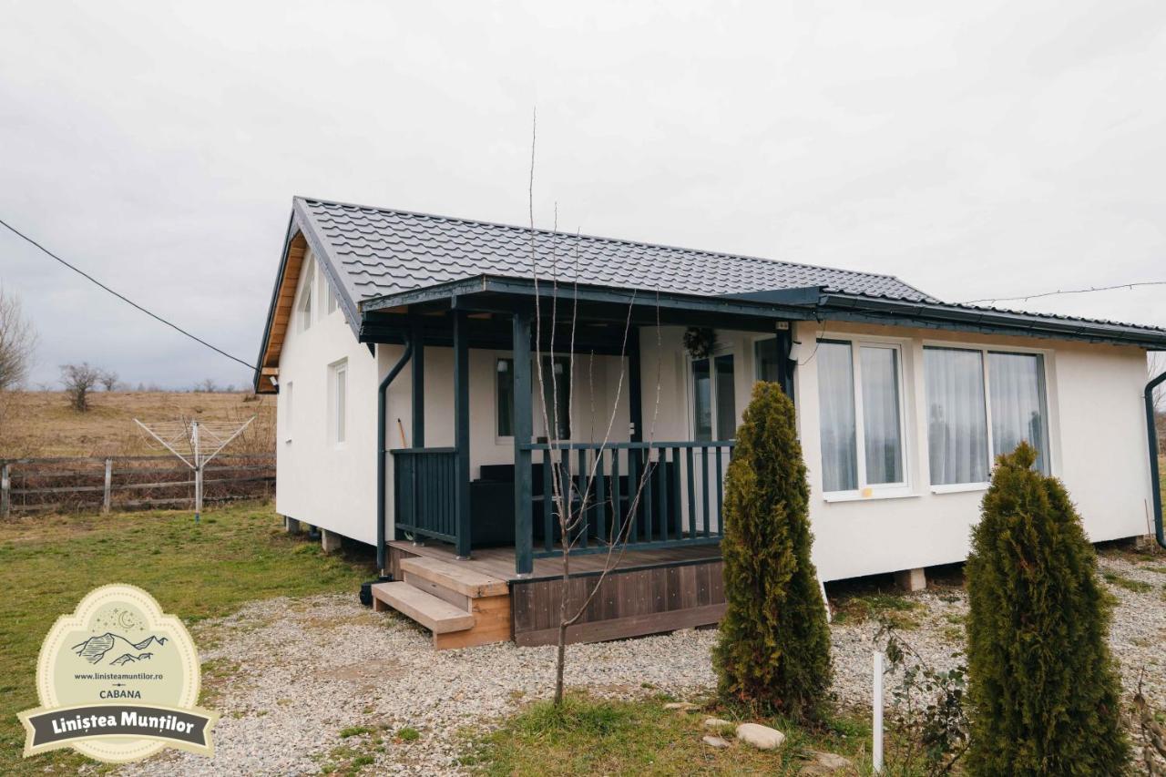 Linistea Muntilor Chalet โปรุมบาคู เด ซุซ ภายนอก รูปภาพ