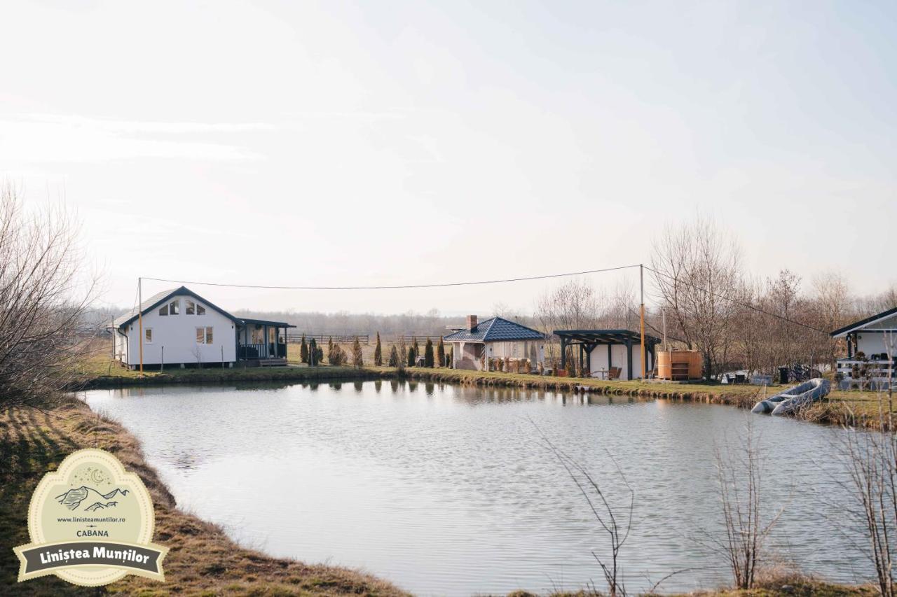 Linistea Muntilor Chalet โปรุมบาคู เด ซุซ ภายนอก รูปภาพ