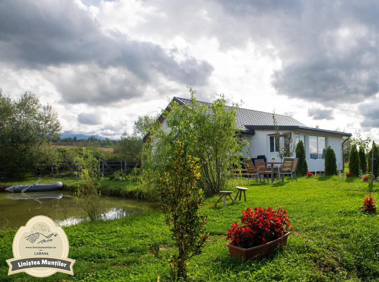 Linistea Muntilor Chalet โปรุมบาคู เด ซุซ ภายนอก รูปภาพ