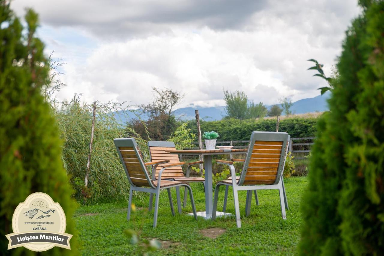 Linistea Muntilor Chalet โปรุมบาคู เด ซุซ ภายนอก รูปภาพ