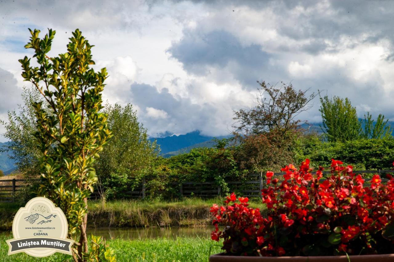 Linistea Muntilor Chalet โปรุมบาคู เด ซุซ ภายนอก รูปภาพ