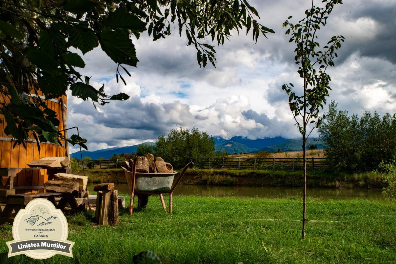 Linistea Muntilor Chalet โปรุมบาคู เด ซุซ ภายนอก รูปภาพ